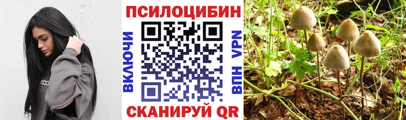 Псилоцибиновые грибы GOLDEN TEACHER  Купить  Себеж 